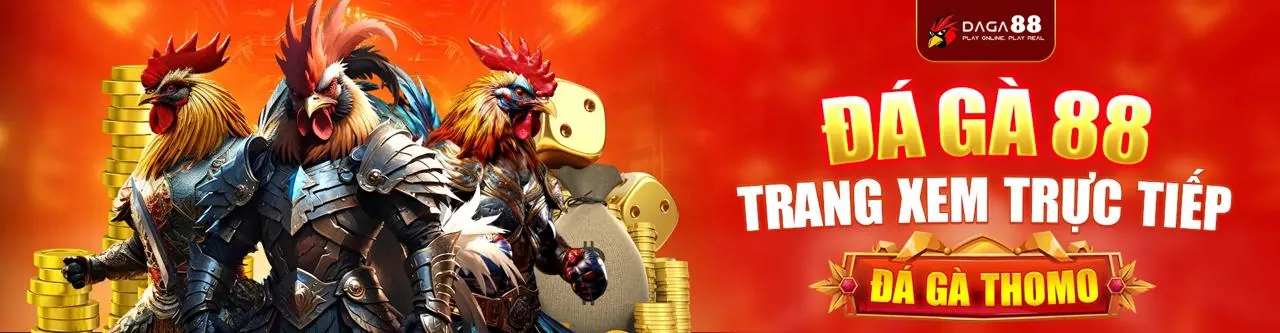 Sân đấu đá gà trực tuyến sôi động tại win13 trang chủ chính thức