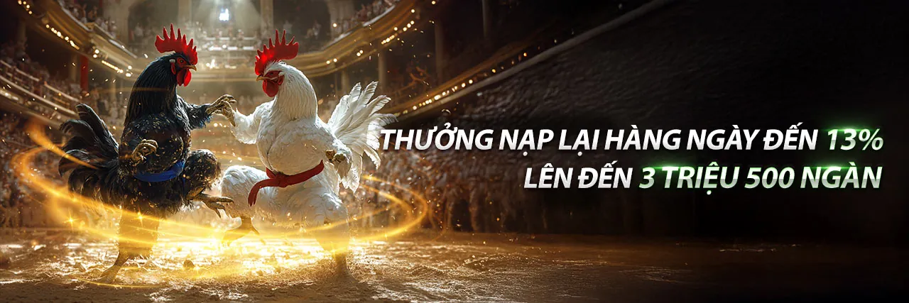 Chương trình VIP độc quyền win13